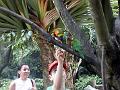 21a - Jardin Tropical 004